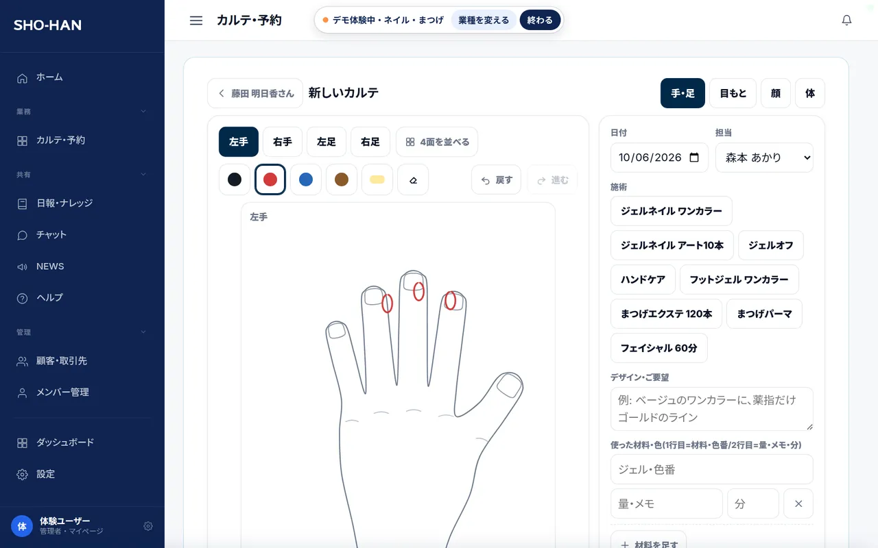手と目もとの図のカルテの画面(デモ)