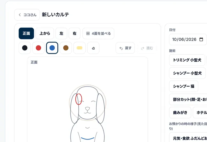 犬・猫の図のカルテの画面（デモ）